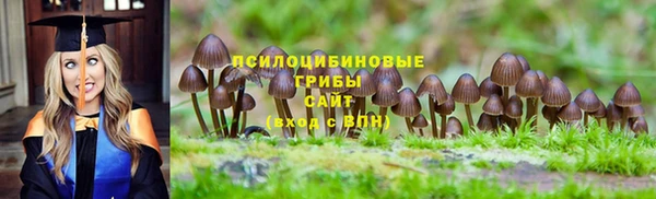 COCAINE Покачи