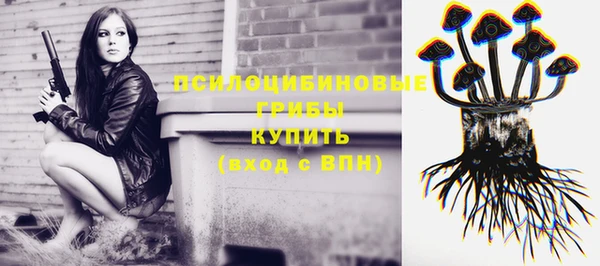 шишки Абдулино