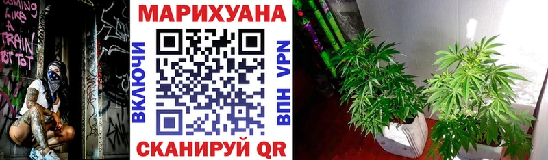 Шишки марихуана VHQ  мега рабочий сайт  Устюжна 